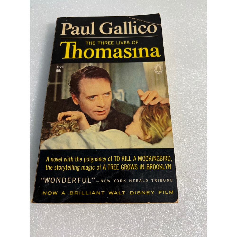 Vintage 1964 The Three Lives of Thomasina Book by Paul Gallico Movie Tie-In